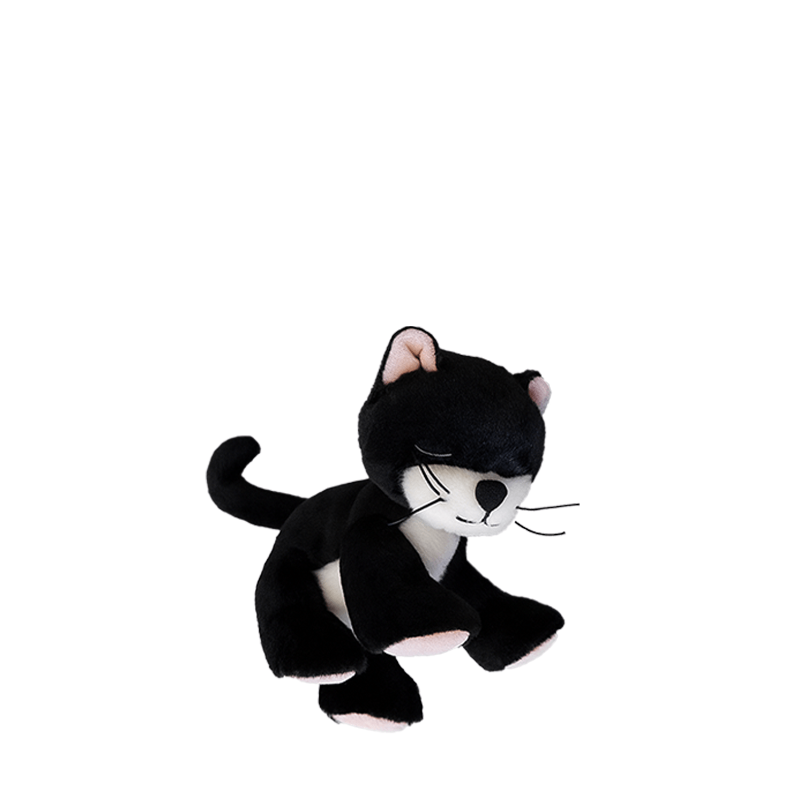 Binky Kitten - Kit Black and White