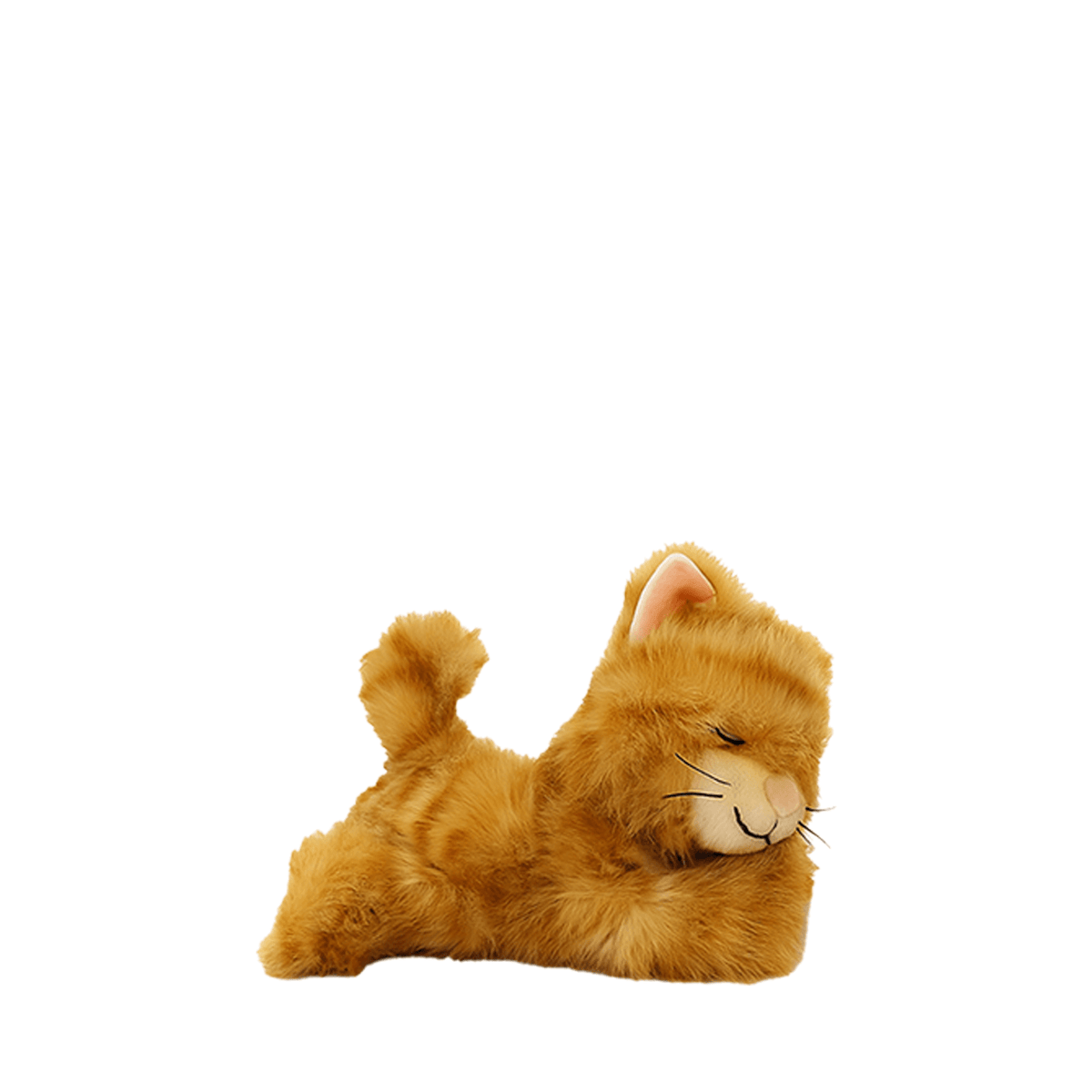 Binky Kitten - Koda Ginger