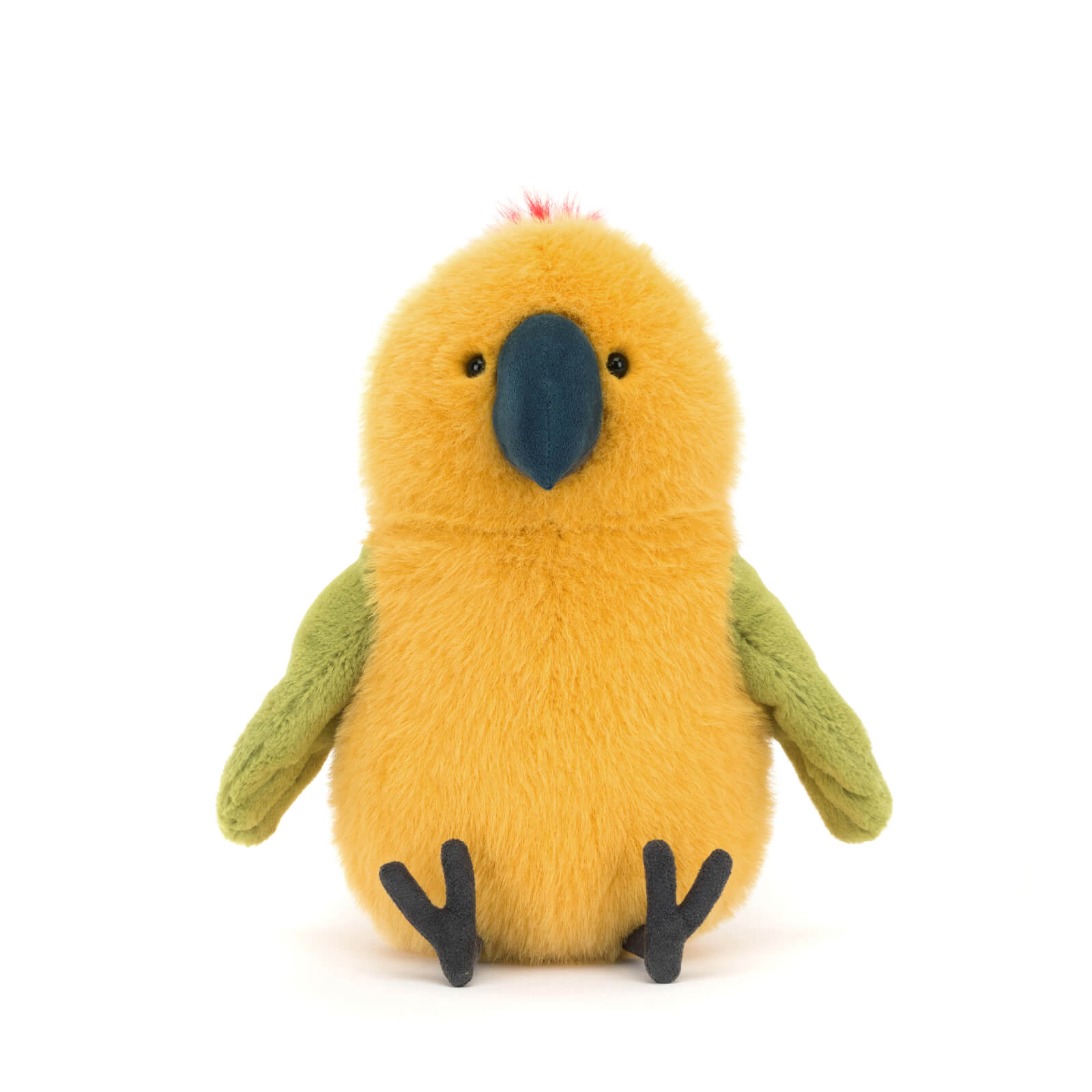Budgeby Parrot