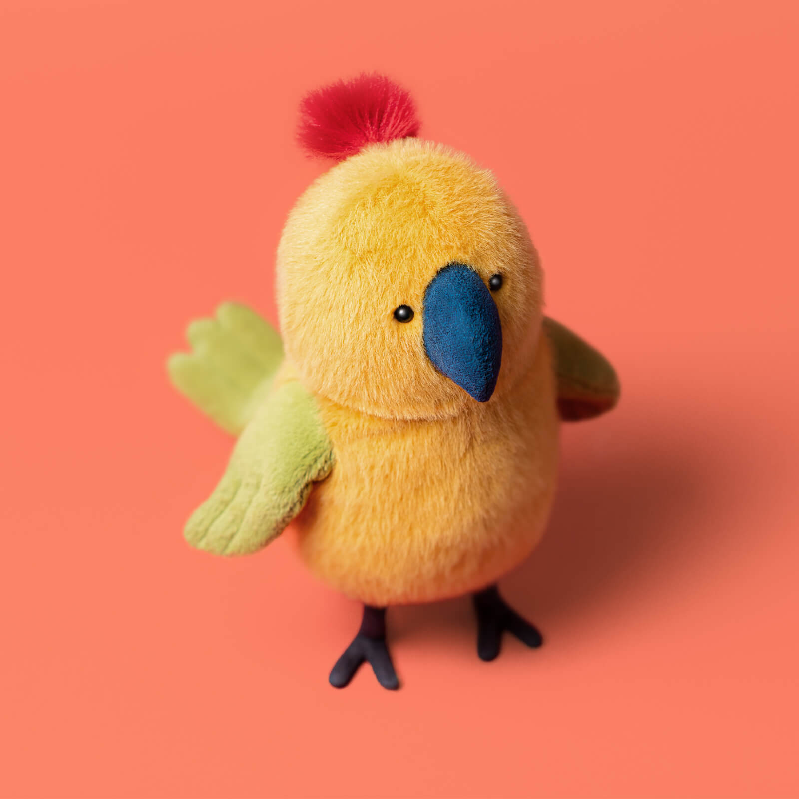 Budgeby Parrot