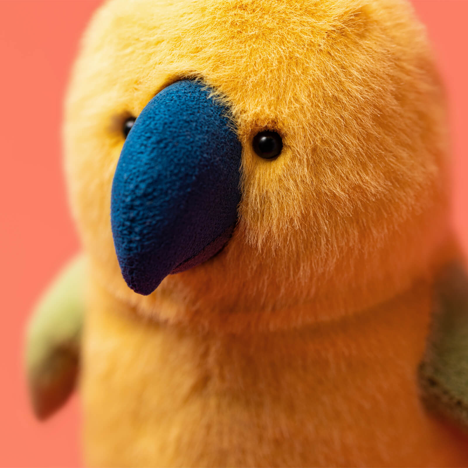 Budgeby Parrot