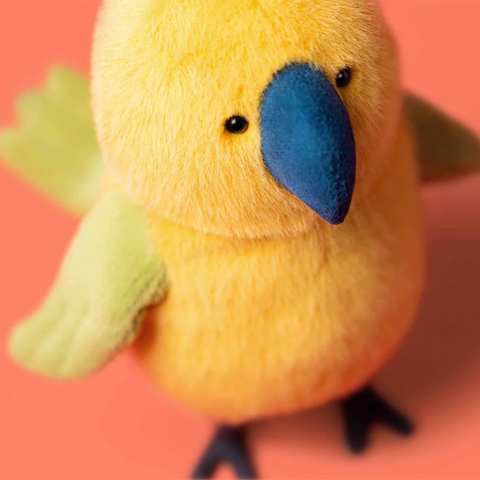 Budgeby Parrot