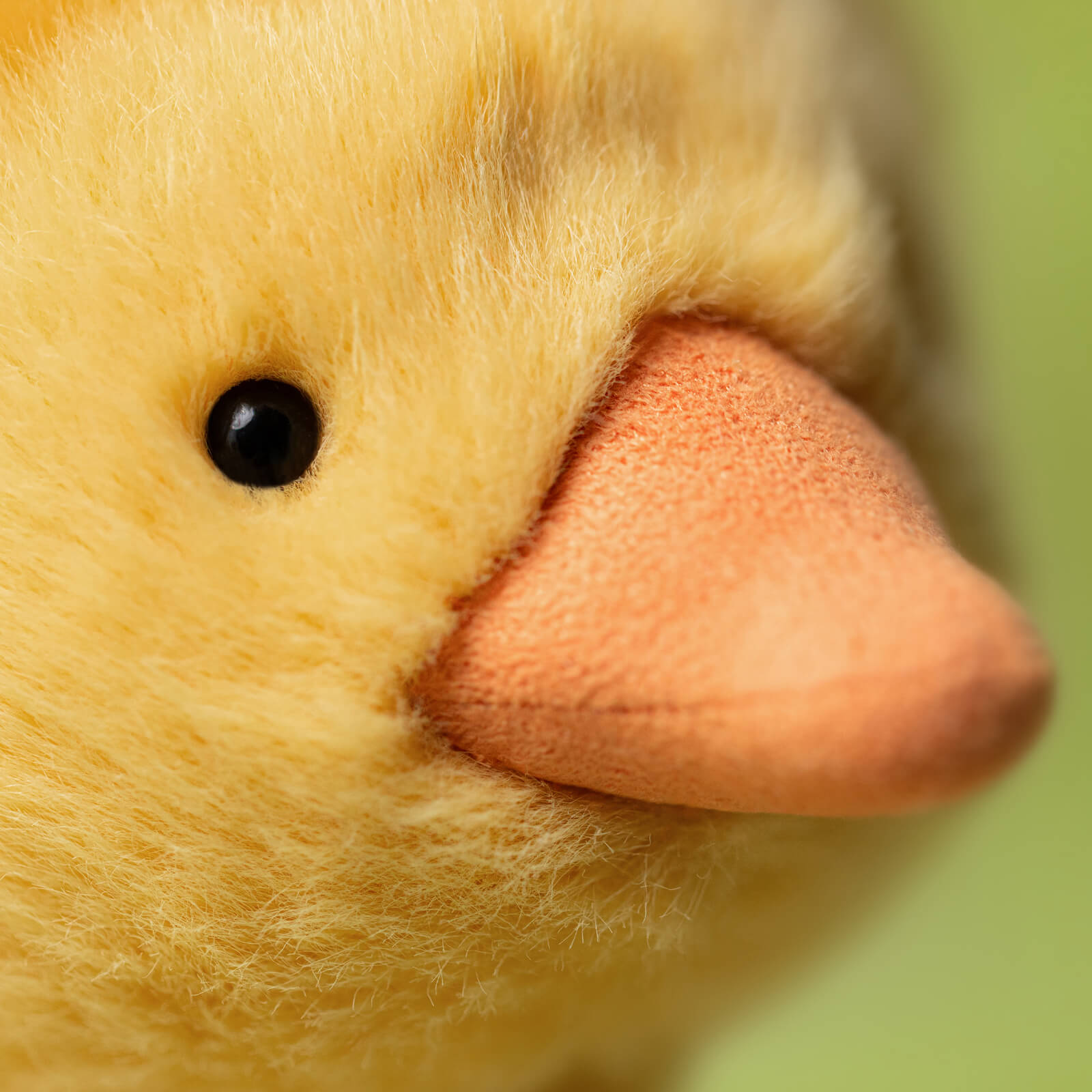 Dorit Duckling