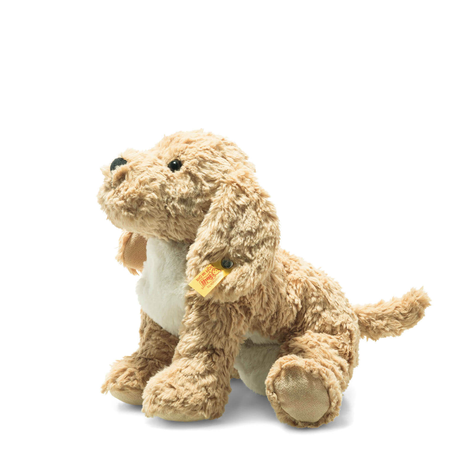 Berno Goldendoodle Puppy 26cm