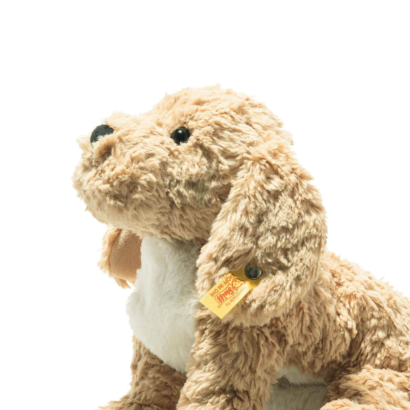 Berno Goldendoodle Puppy 26cm