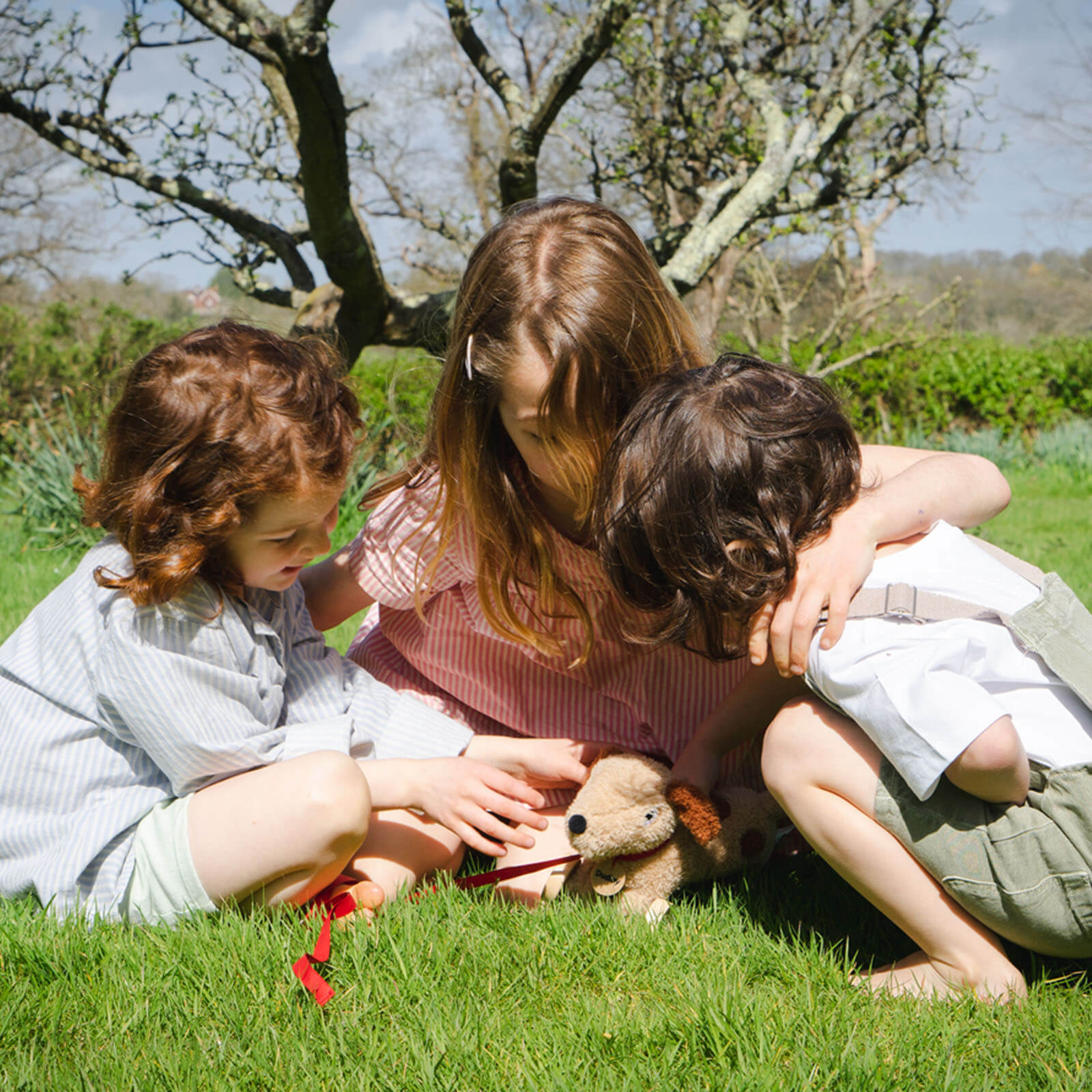 Dudley Pull Along Dog