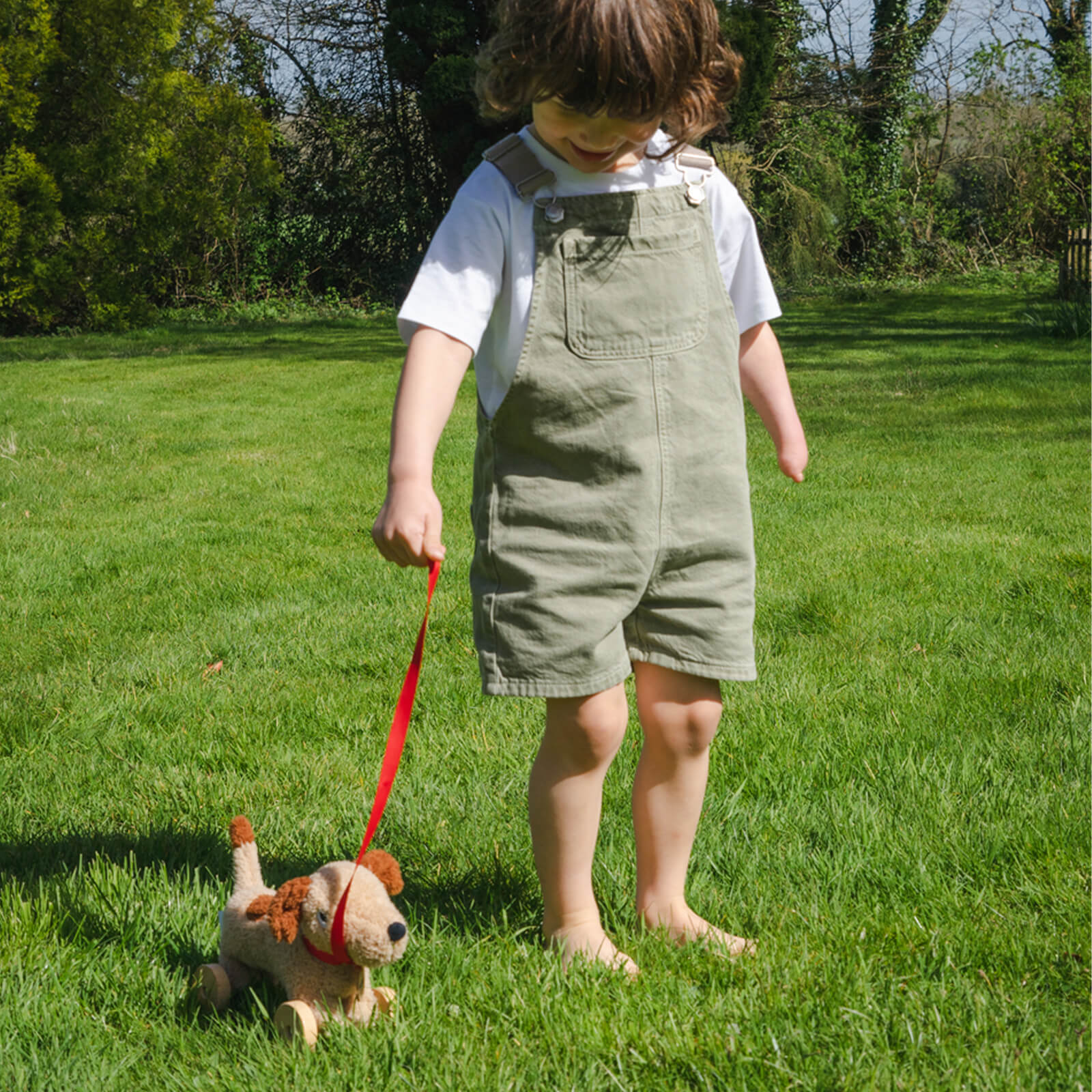 Dudley Pull Along Dog