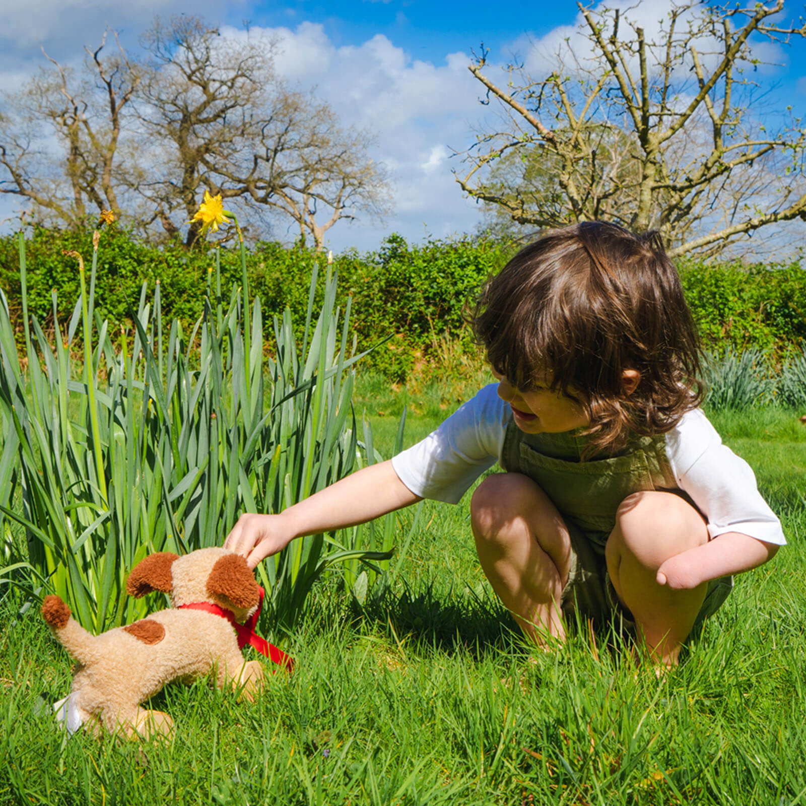Dudley Pull Along Dog