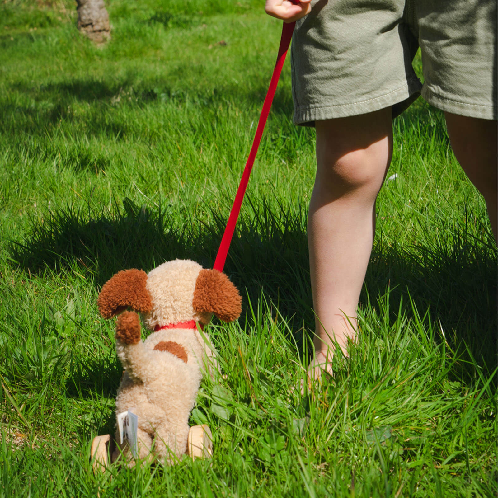 Dudley Pull Along Dog