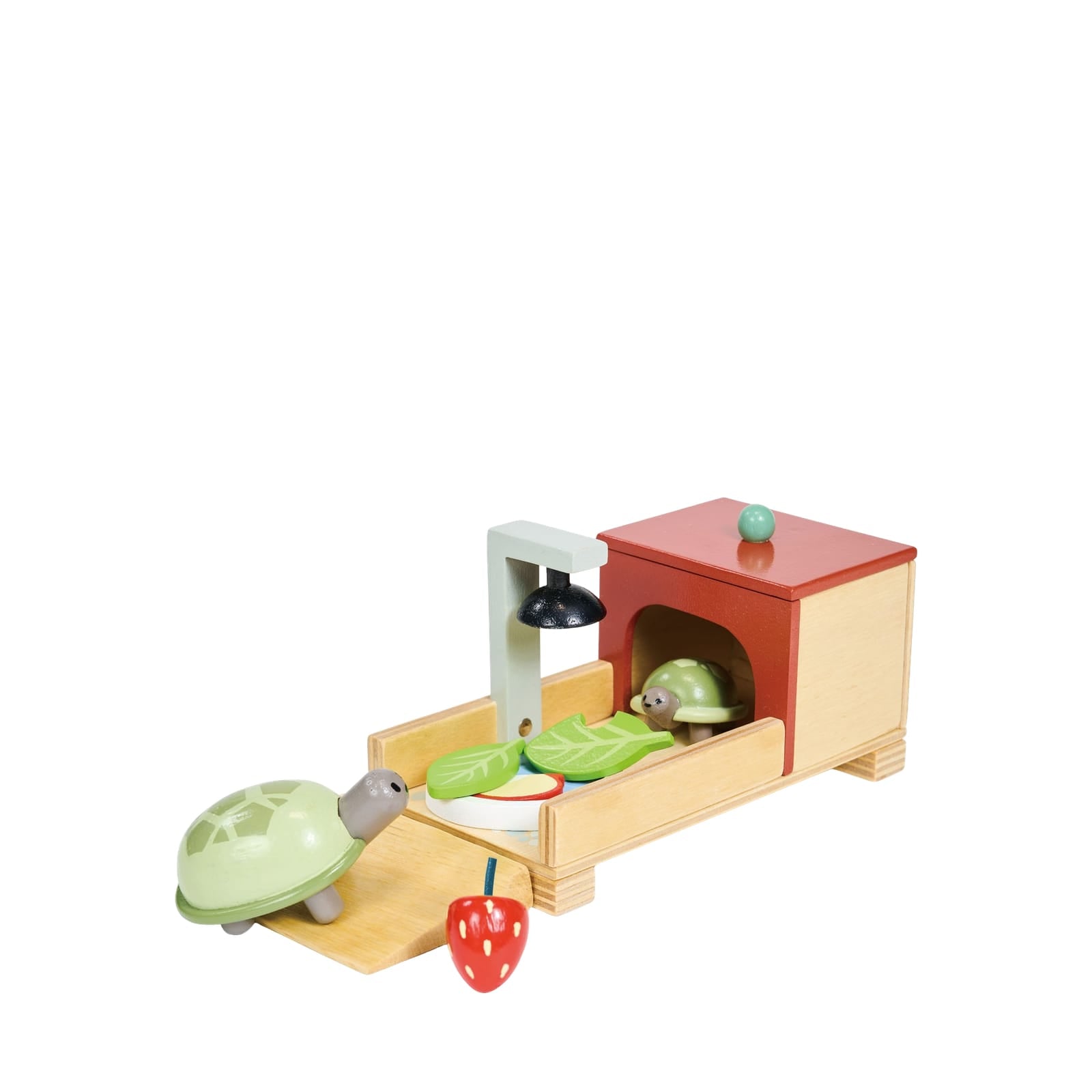Tortoise Pet Set