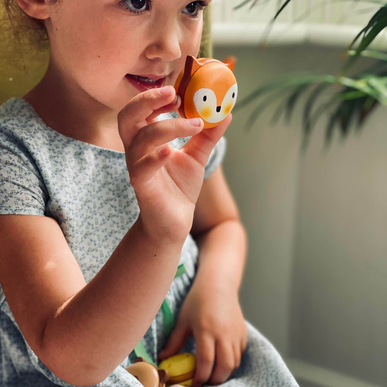Animal Macarons Play Food