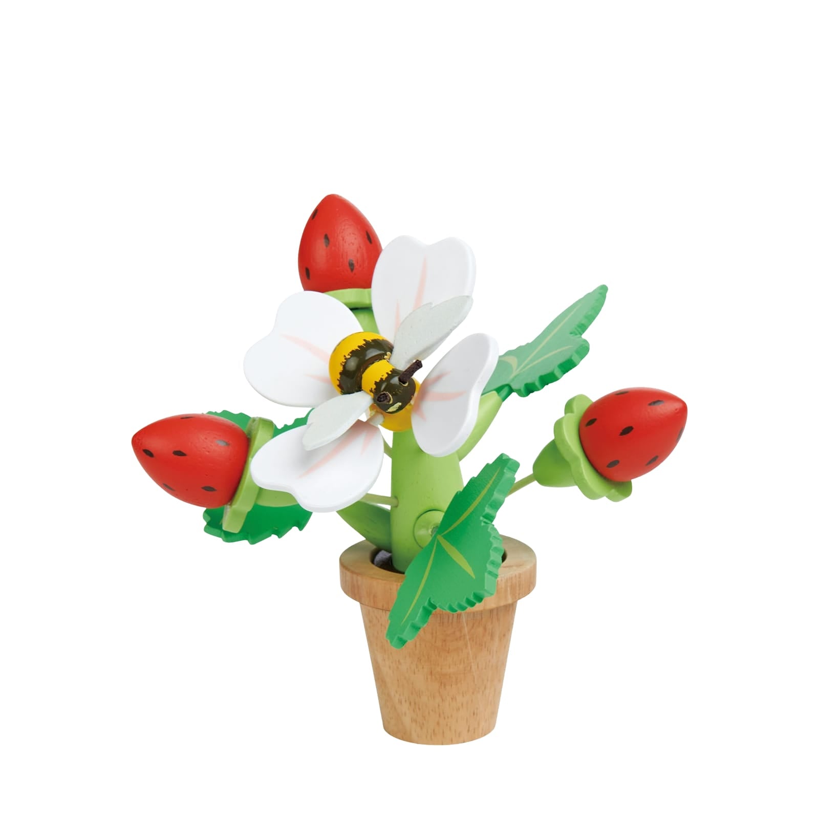 Strawberry Flower Pot