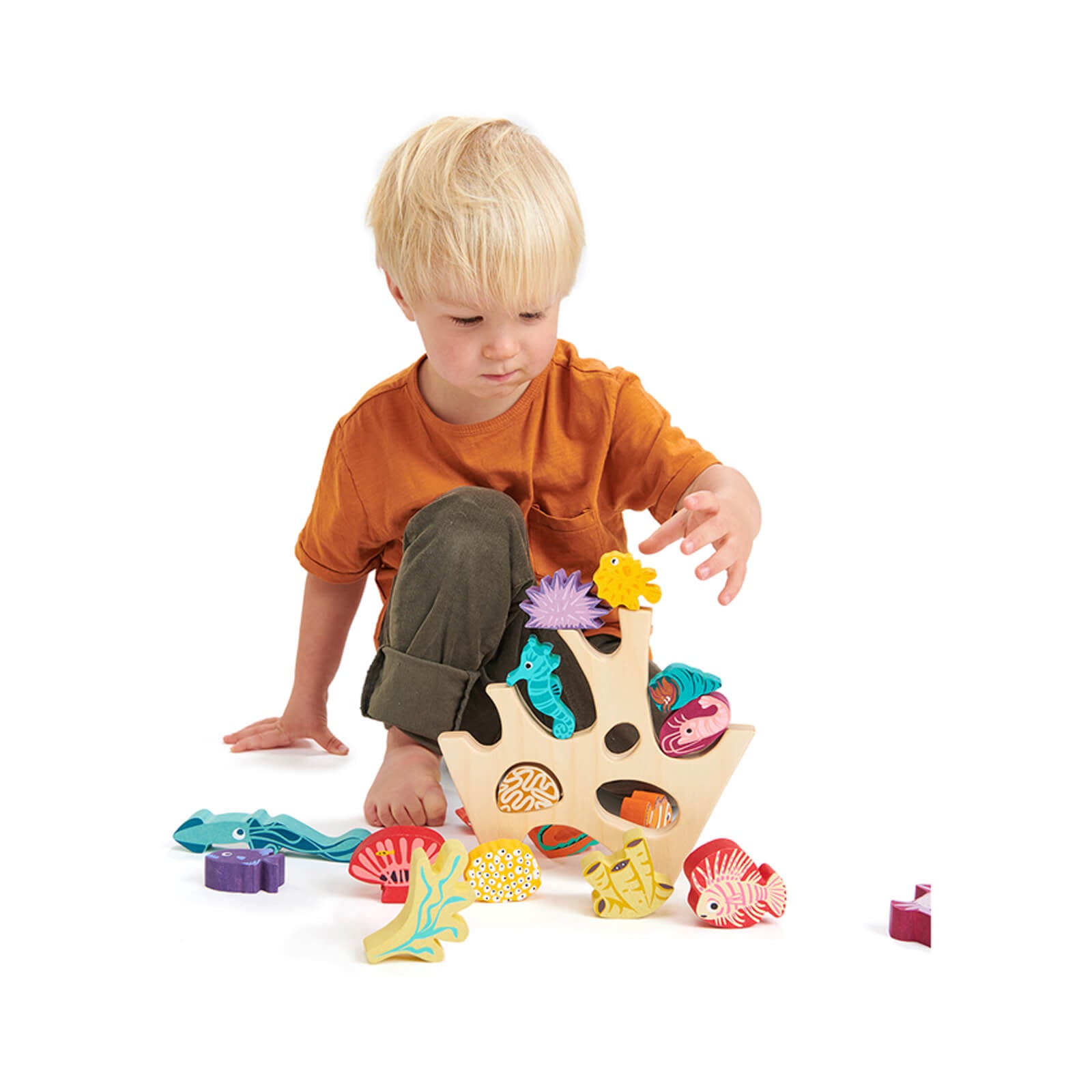 Stacking Coral Reef