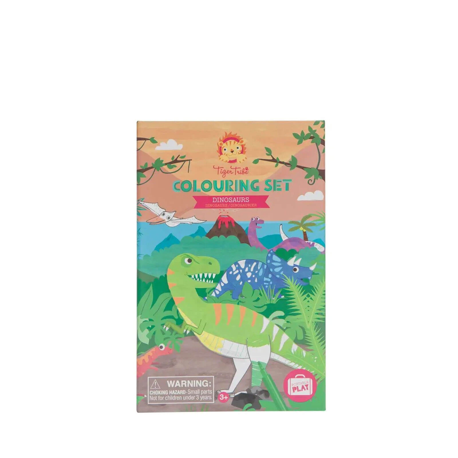 Colouring Set - Dinosaur