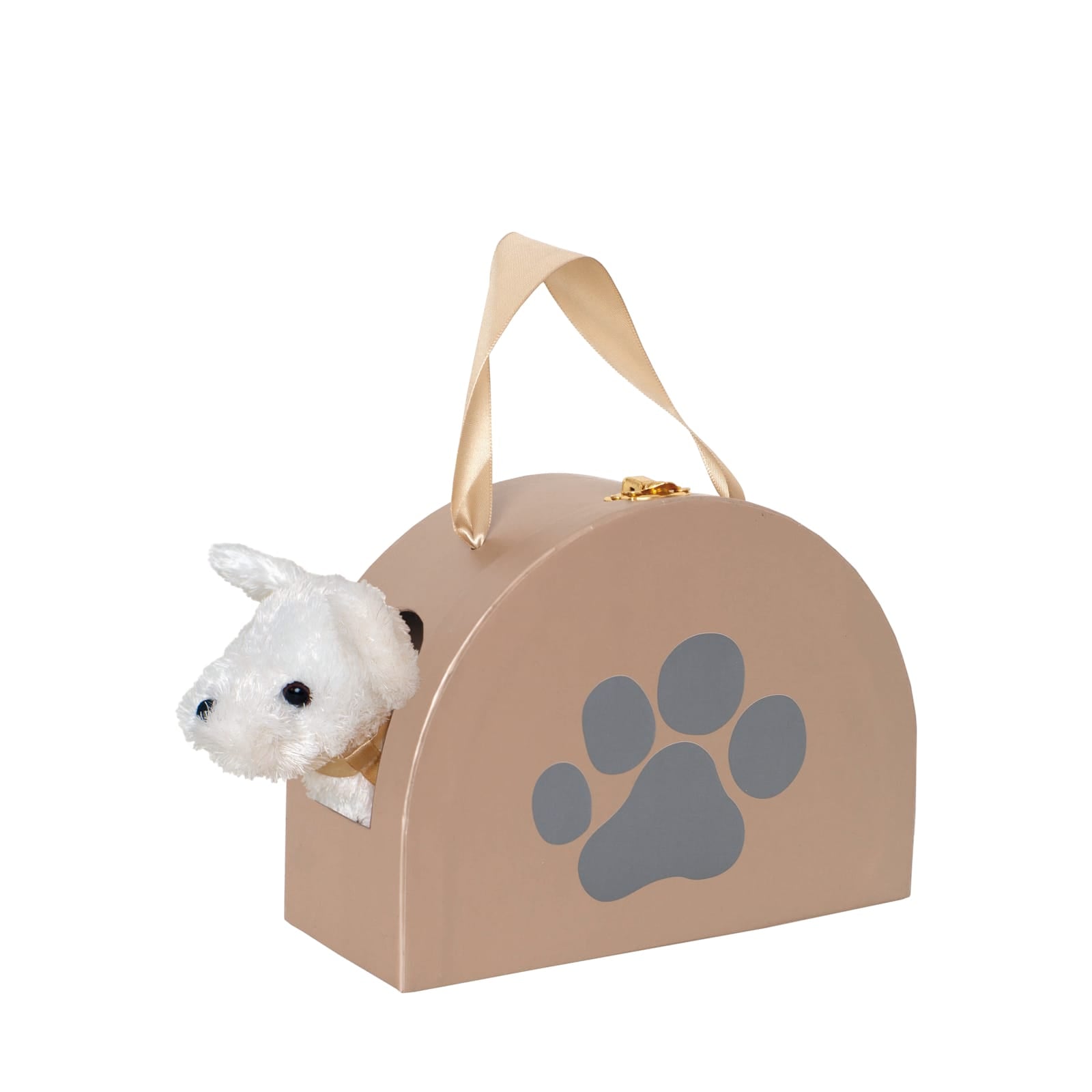 Dog and Accessories In Bag