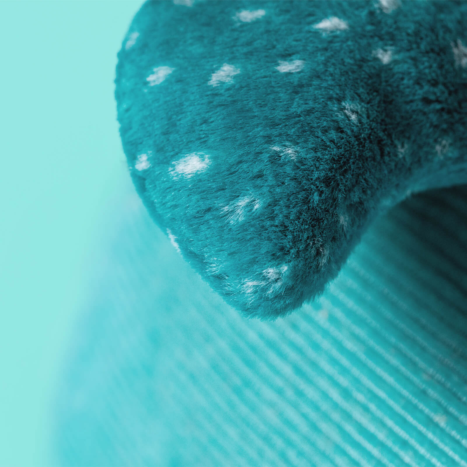 Gobfrey Whale Shark