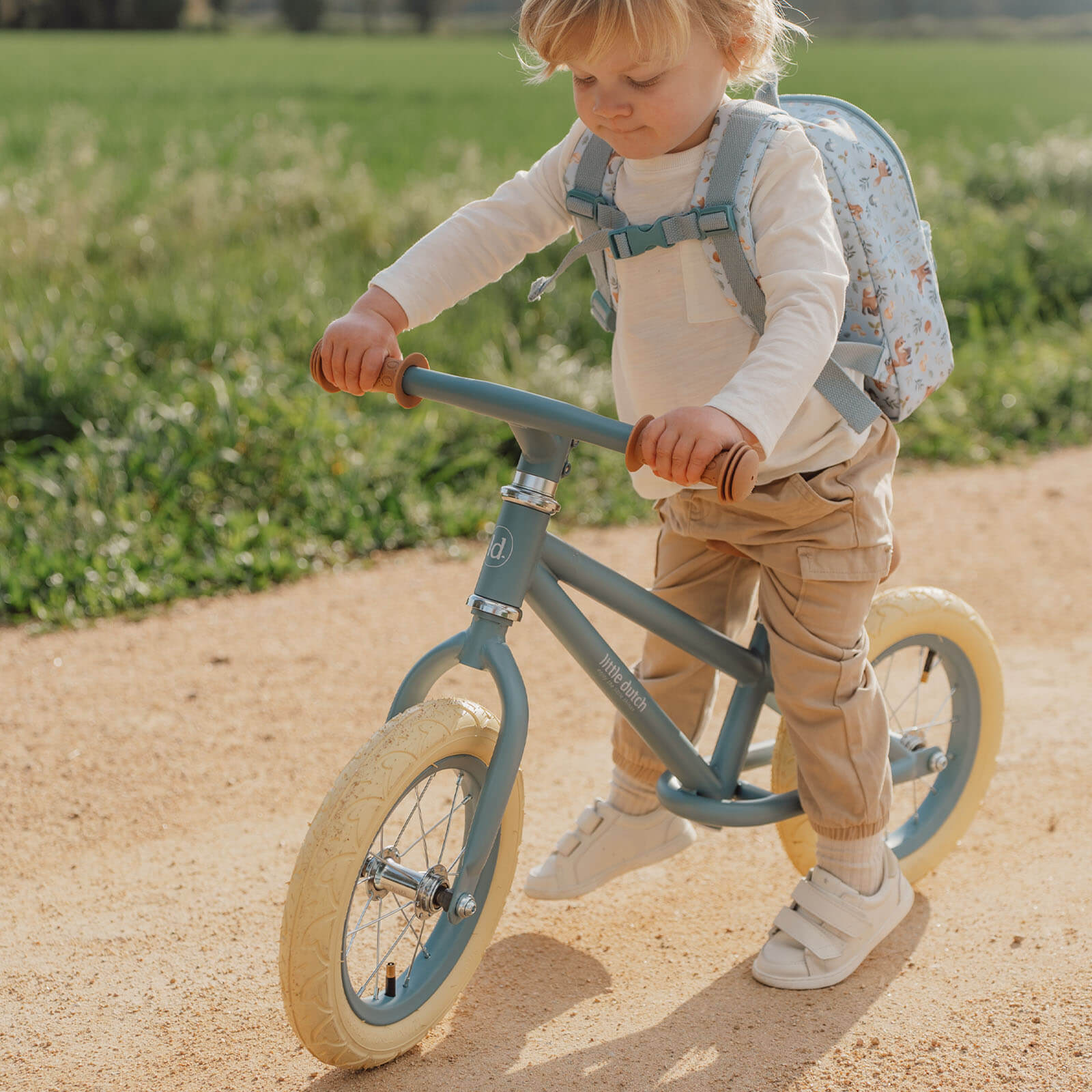 Balance Bike - Blue Matte