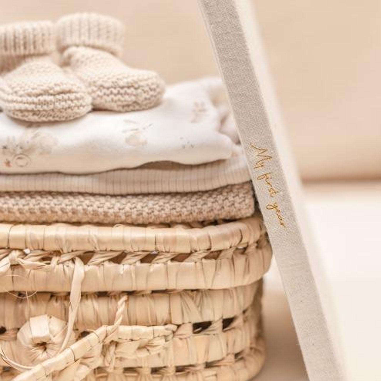 Baby First Year Book - Baby Bunny