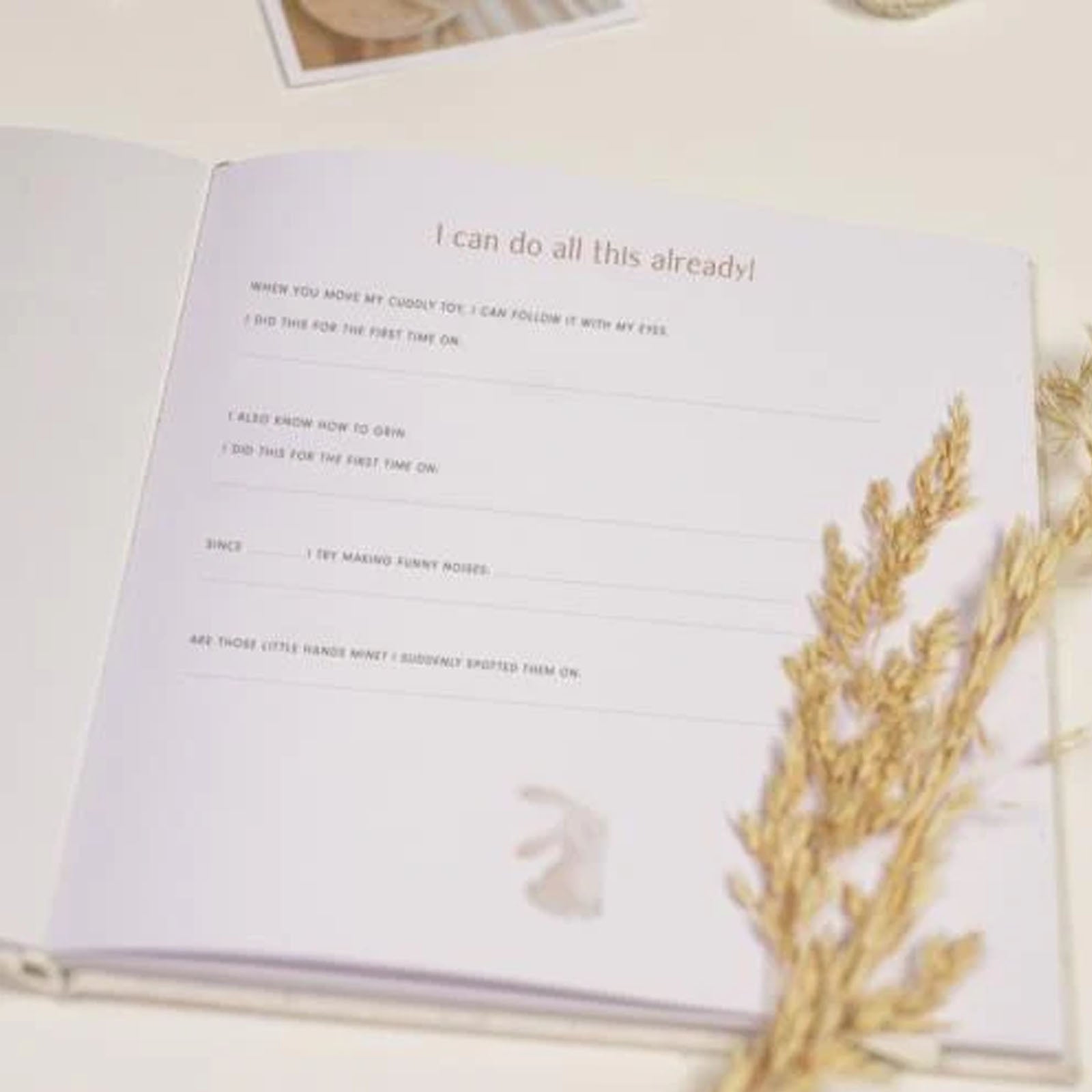 Baby First Year Book - Baby Bunny