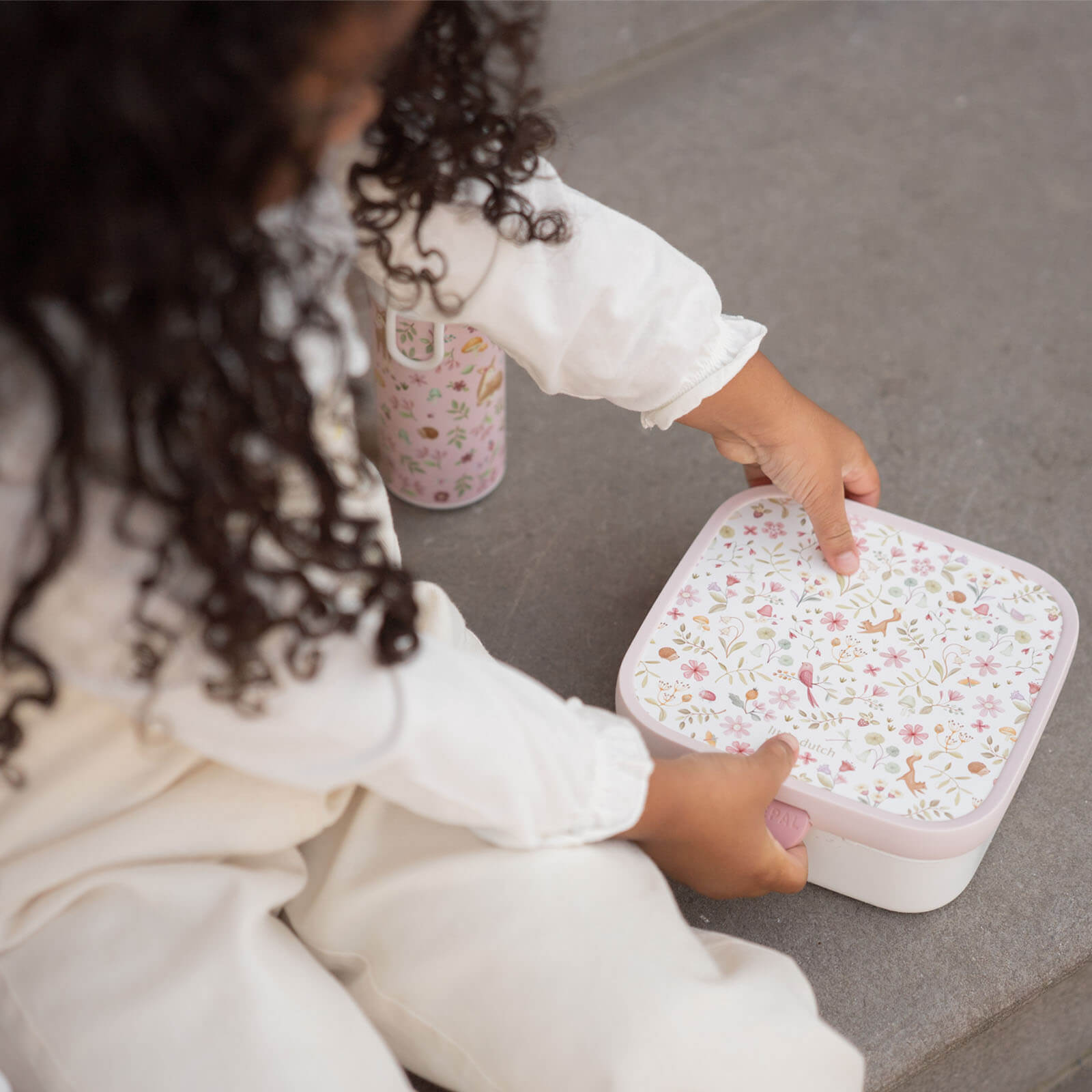 Bento Lunchbox - Fairy Wonders