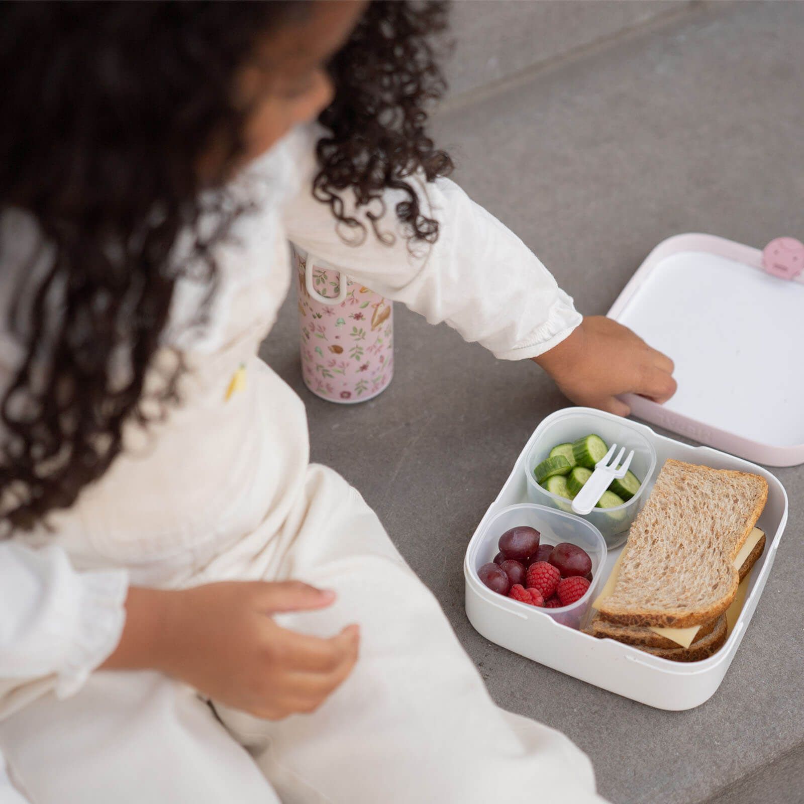 Bento Lunchbox - Fairy Wonders
