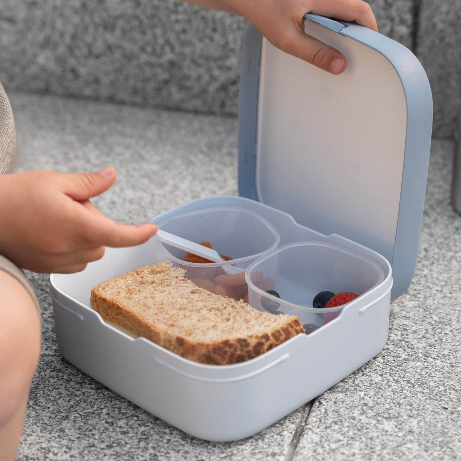 Bento Lunch Box - Forest Friends