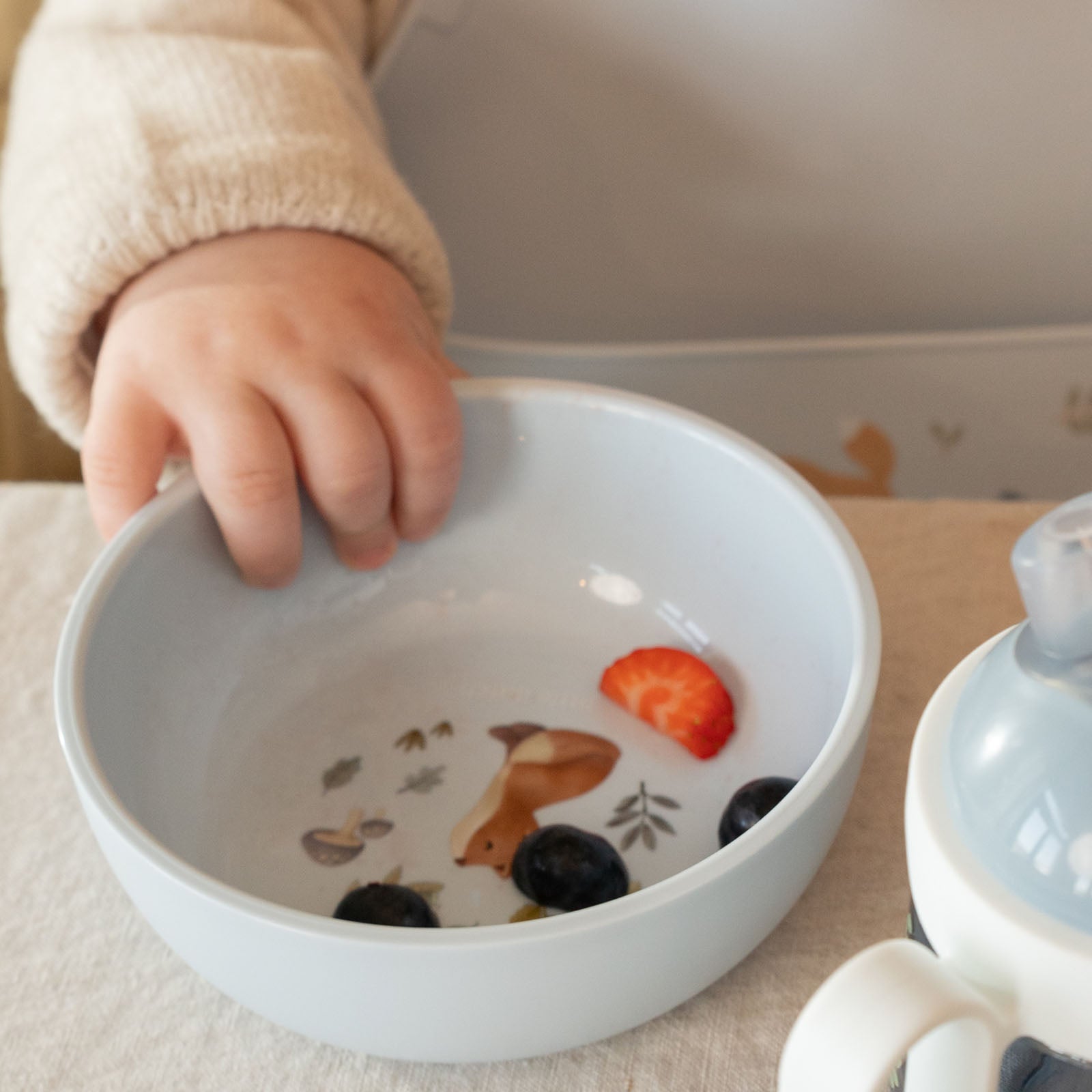 Children's Dinnerware 6 Piece Set - Forest Friends