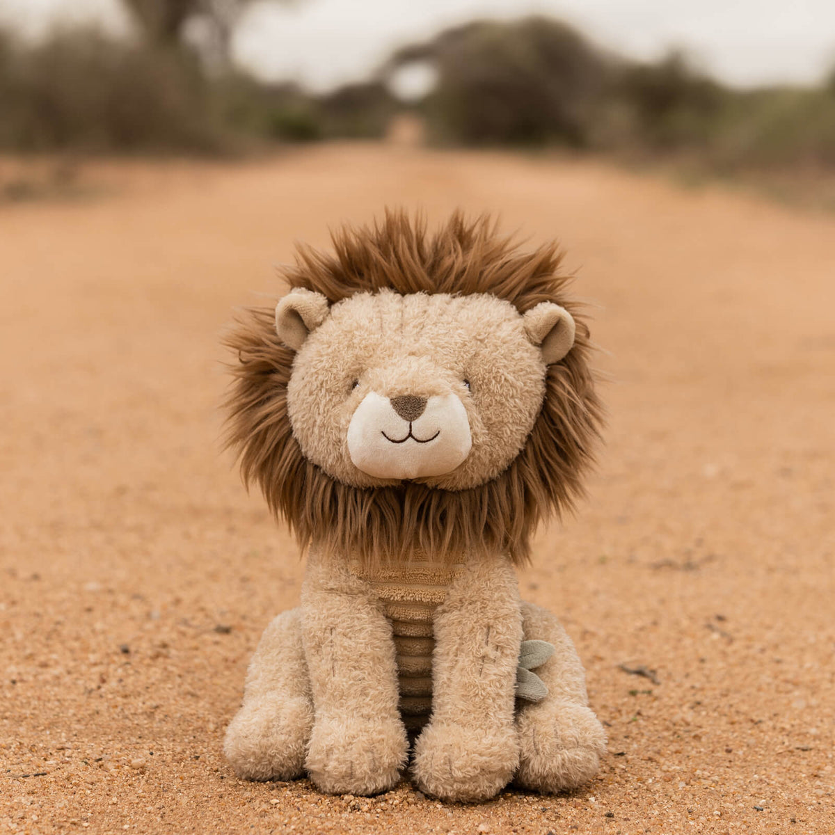 Soft Cuddle Toy 19cm - Lion