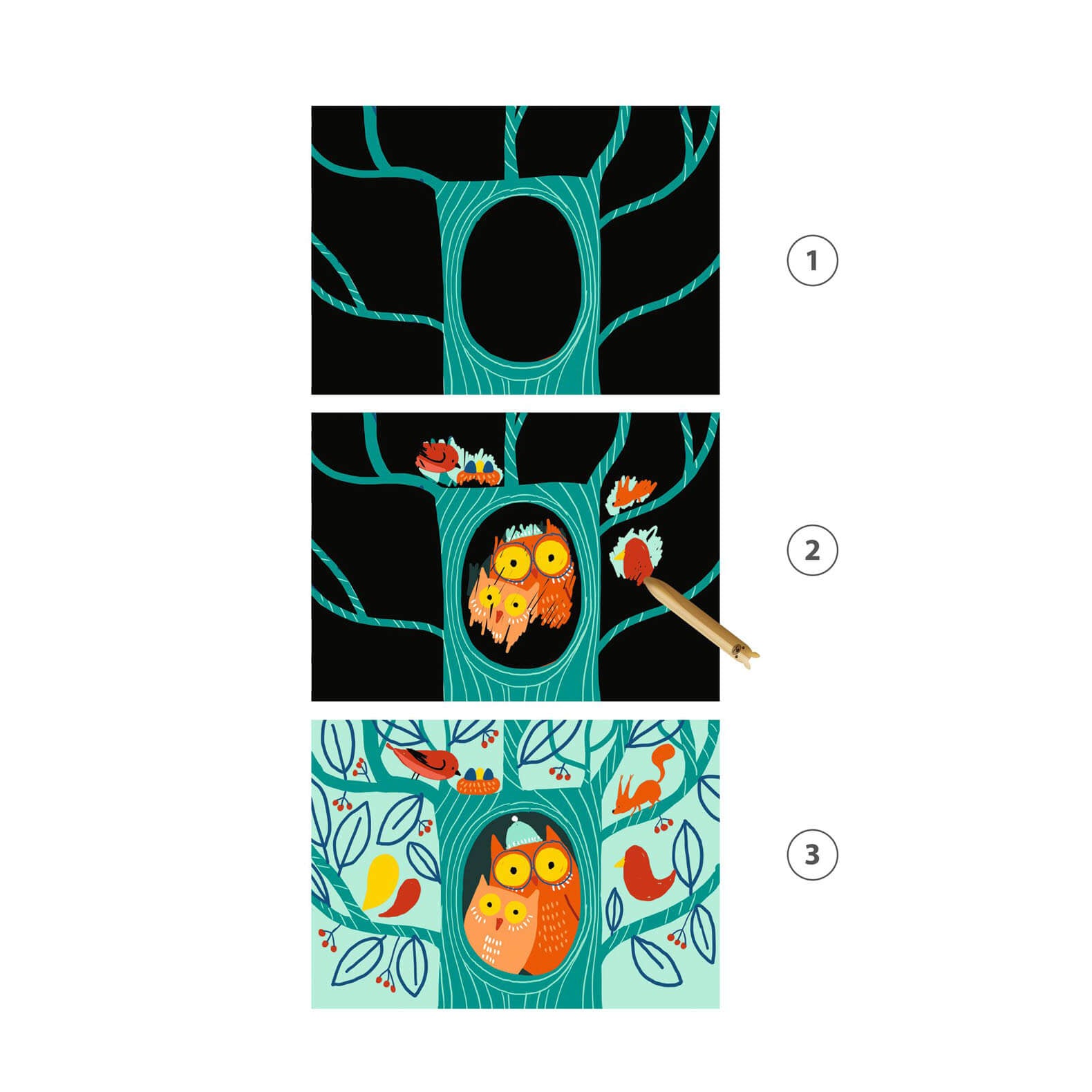 Colour Scratch Boards - Learn About Animals