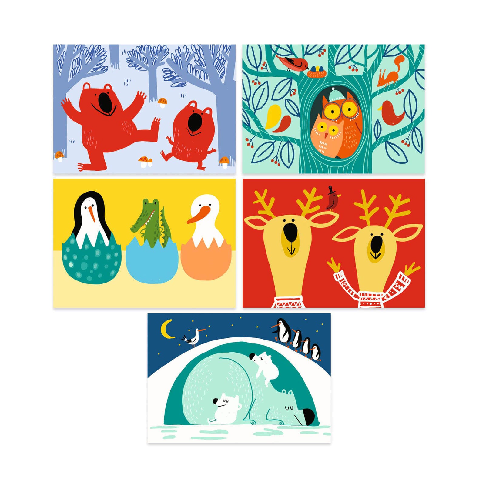 Colour Scratch Boards - Learn About Animals