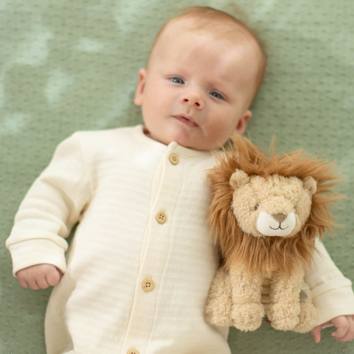 Gift Box - Safari Friends