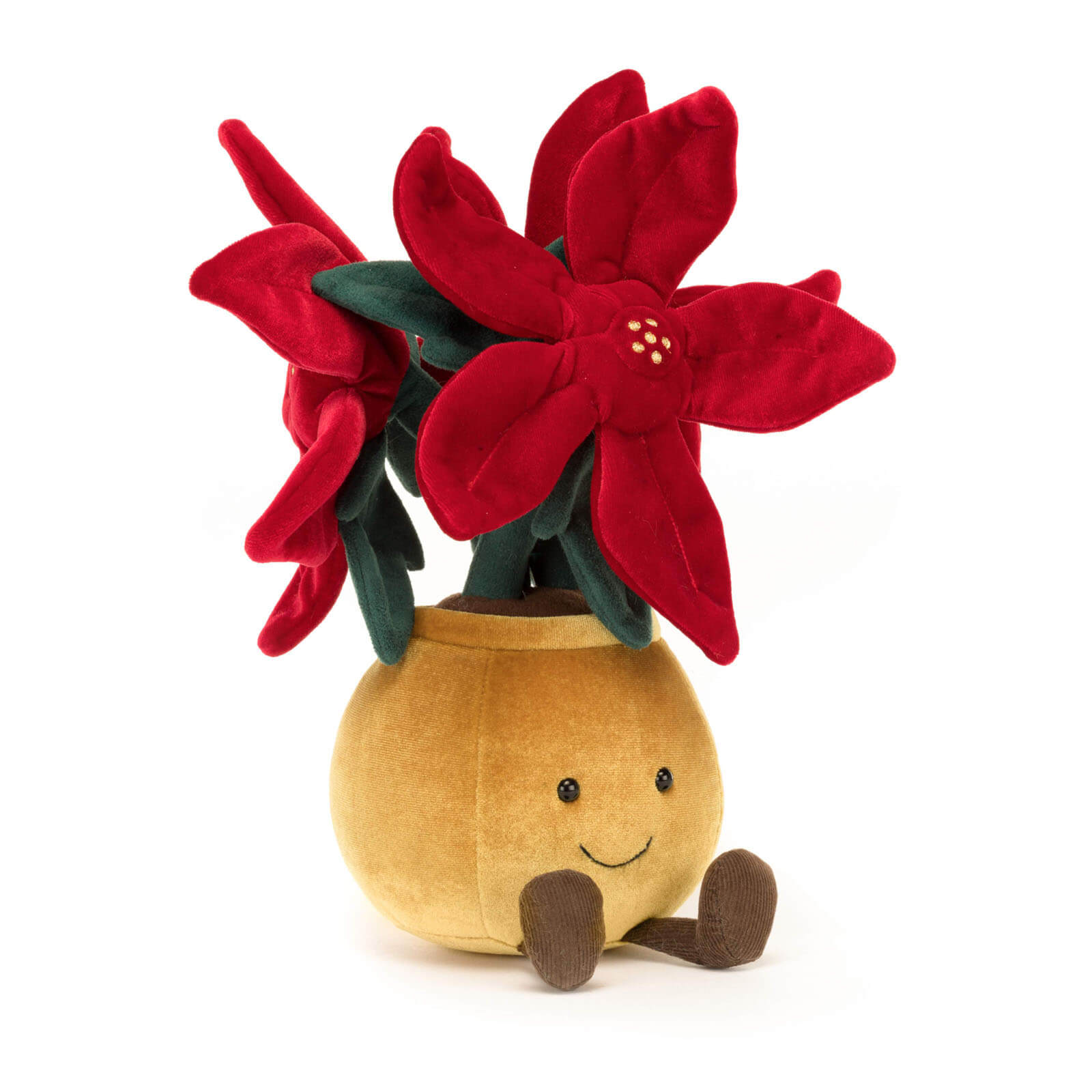Amuseable Poinsettia