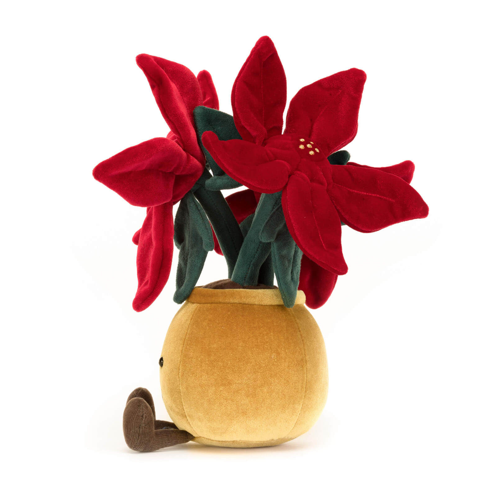 Amuseable Poinsettia
