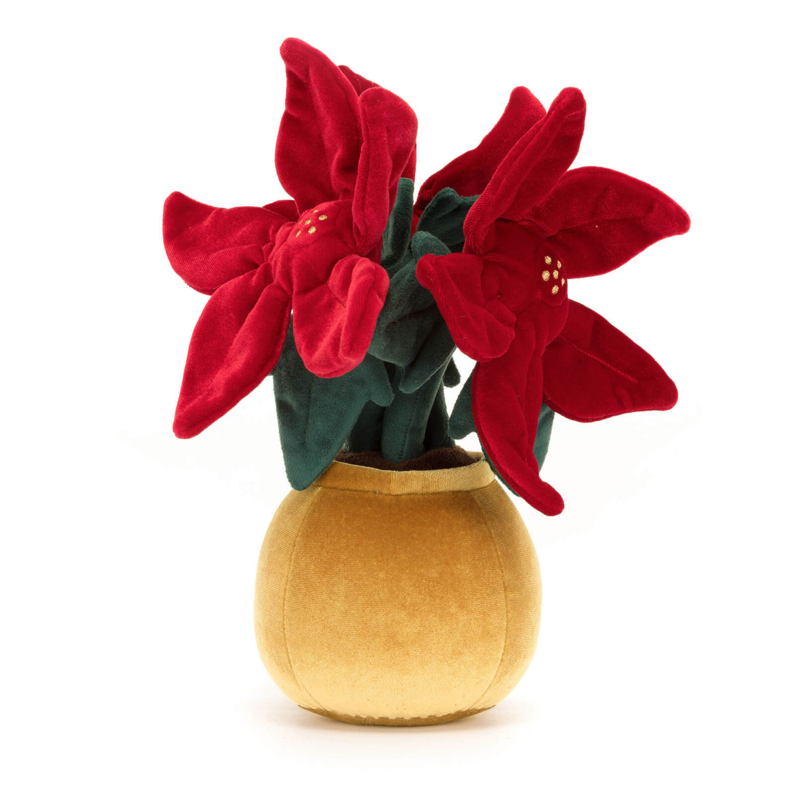 Amuseable Poinsettia