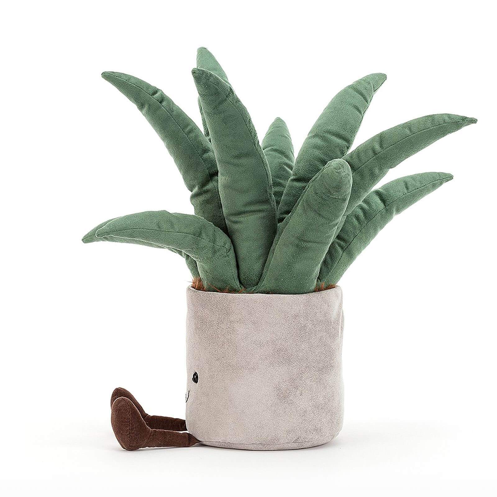 Amuseable Aloe Vera Big