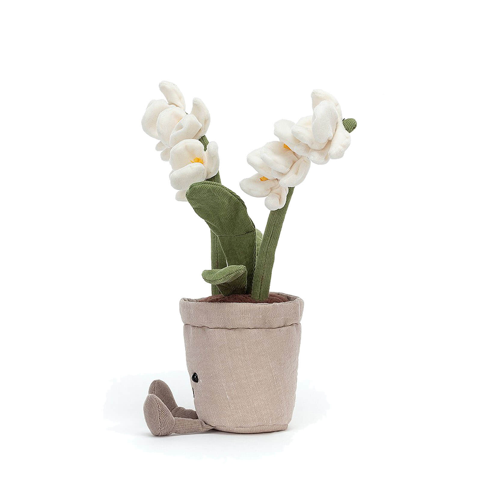 Amuseable Cream Orchid