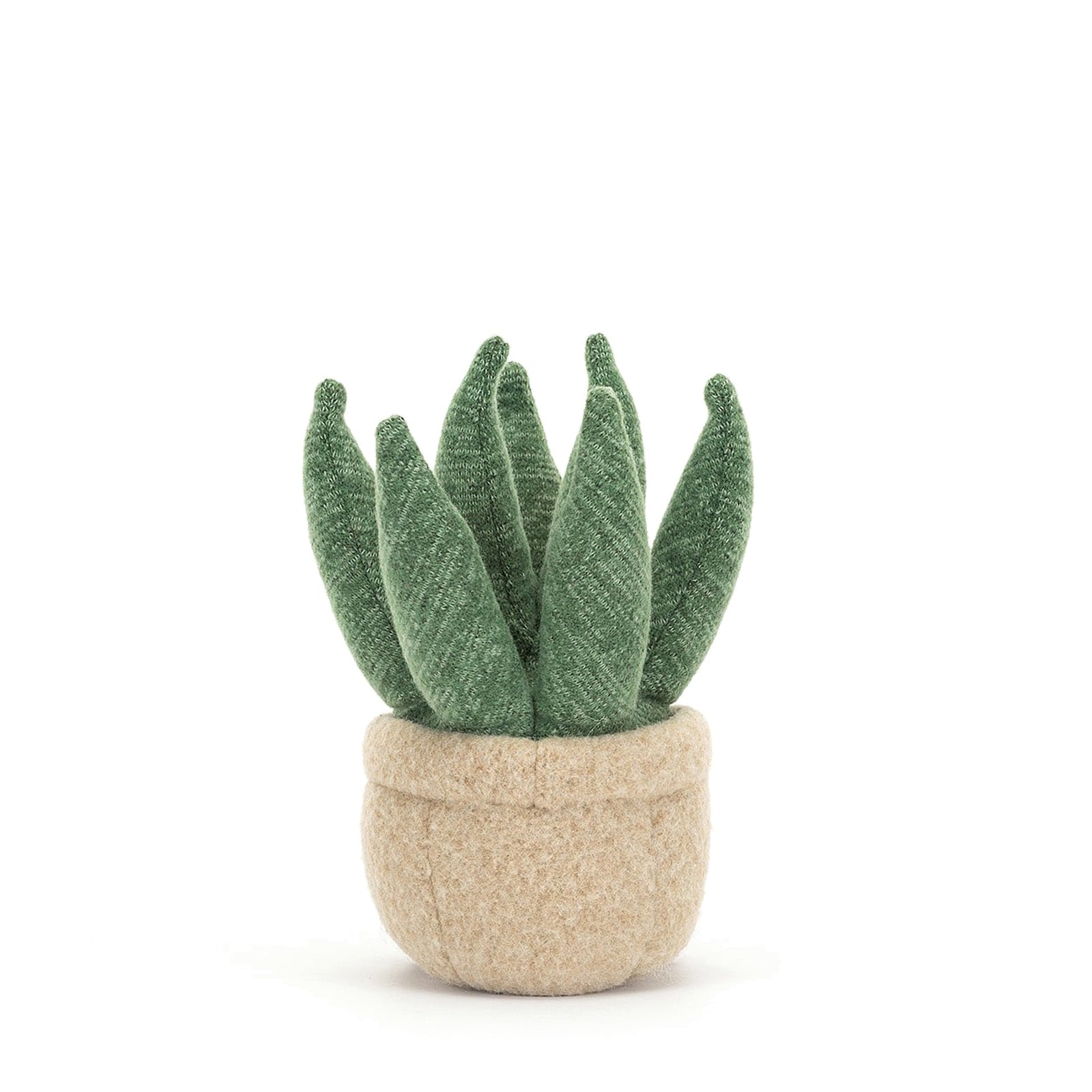 Amuseable Aloe Vera Small