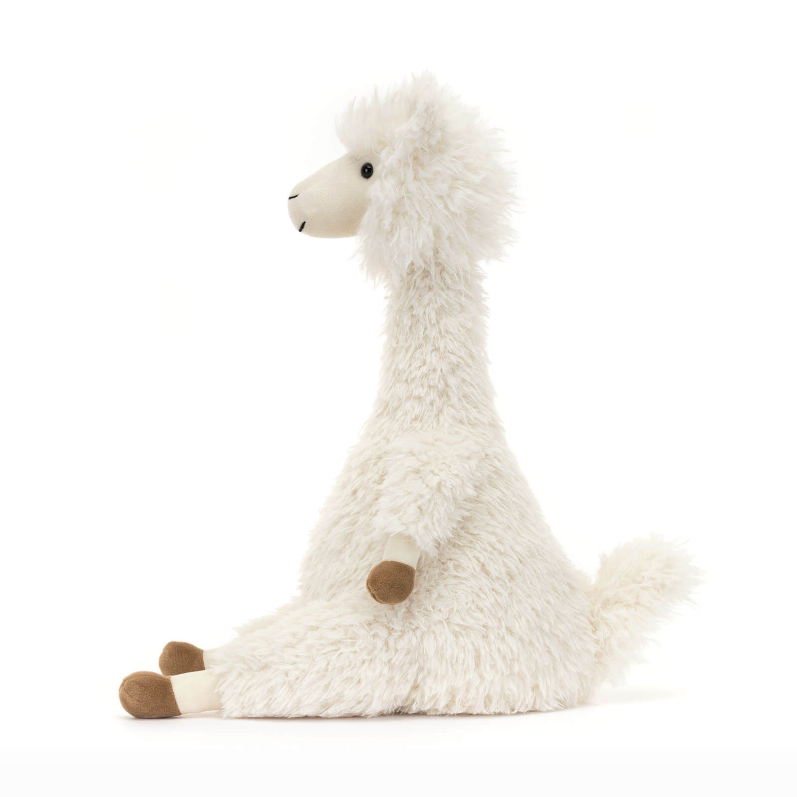 Alonso Alpaca