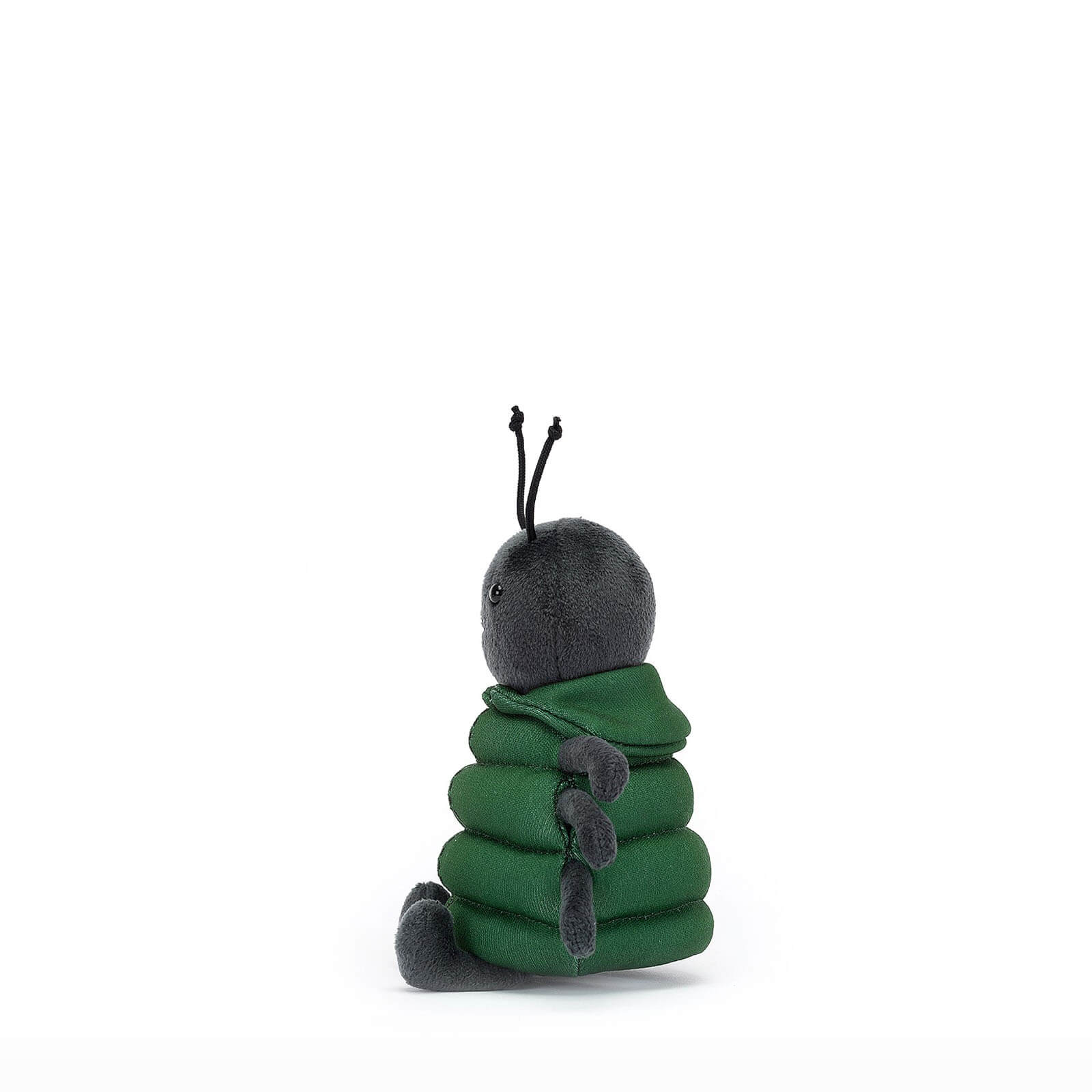 Anoraknid Black Spider