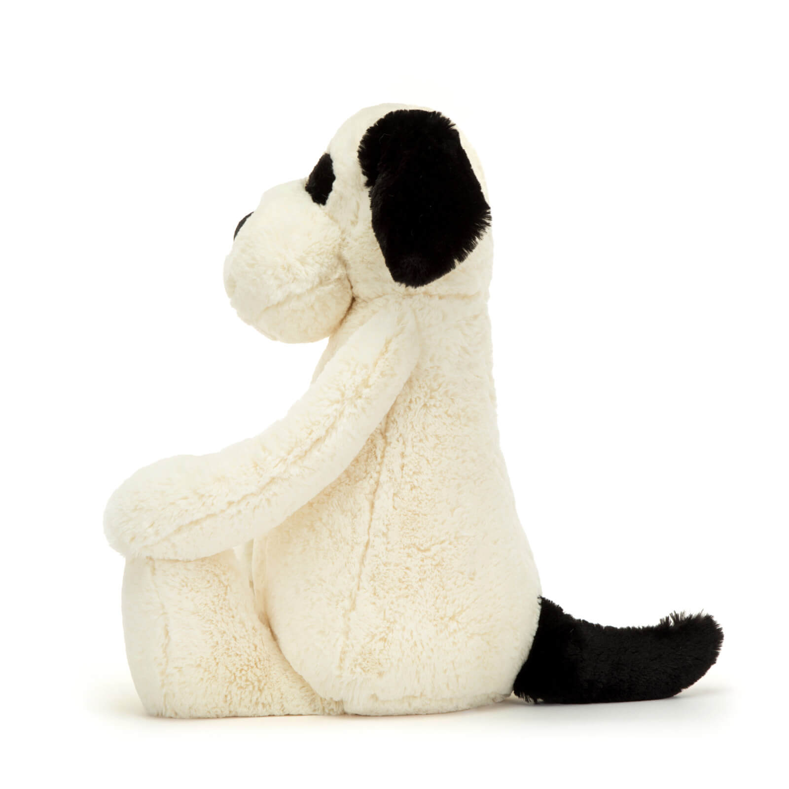 Really Big Bashful Black and Cream Puppy