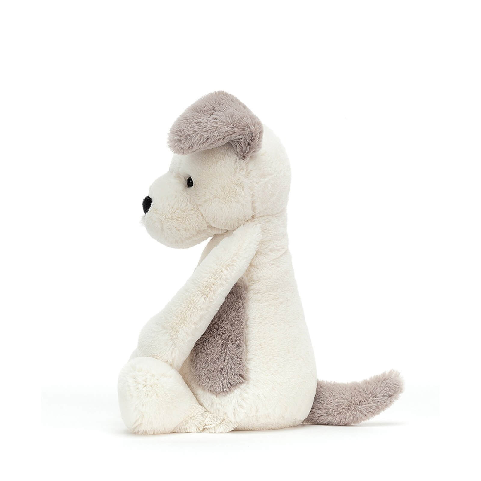 Original Bashful Terrier