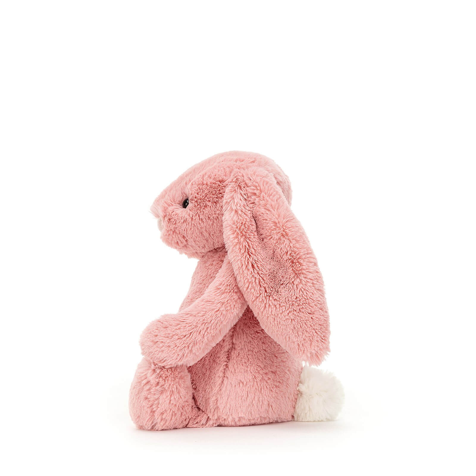 Small Bashful Bunny Petal