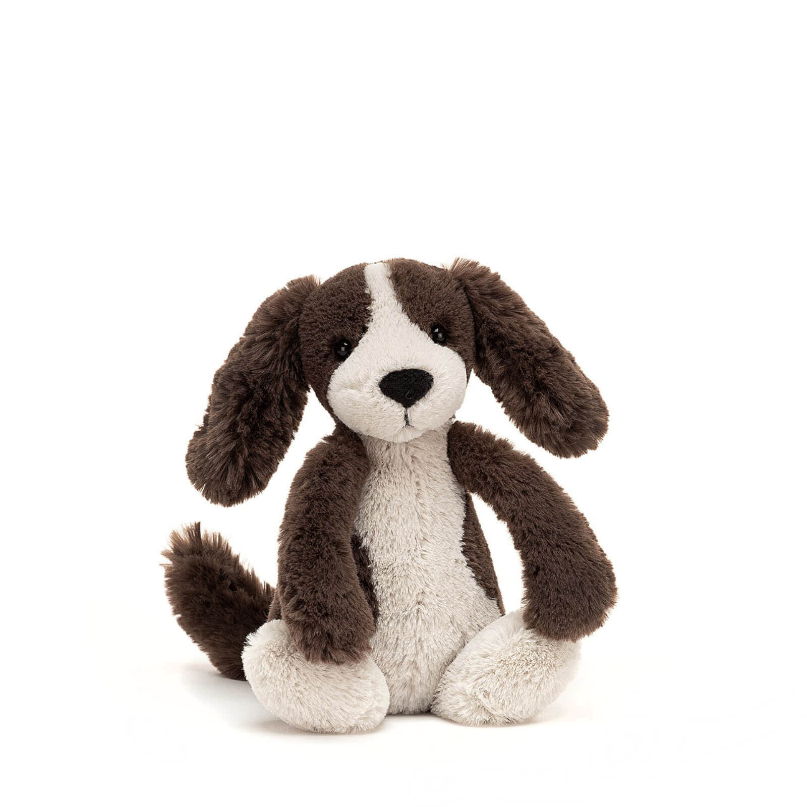 Small Bashful Puppy Fudge