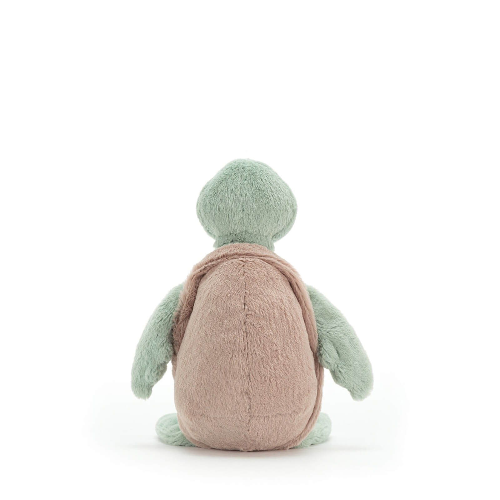 Small Bashful Turtle