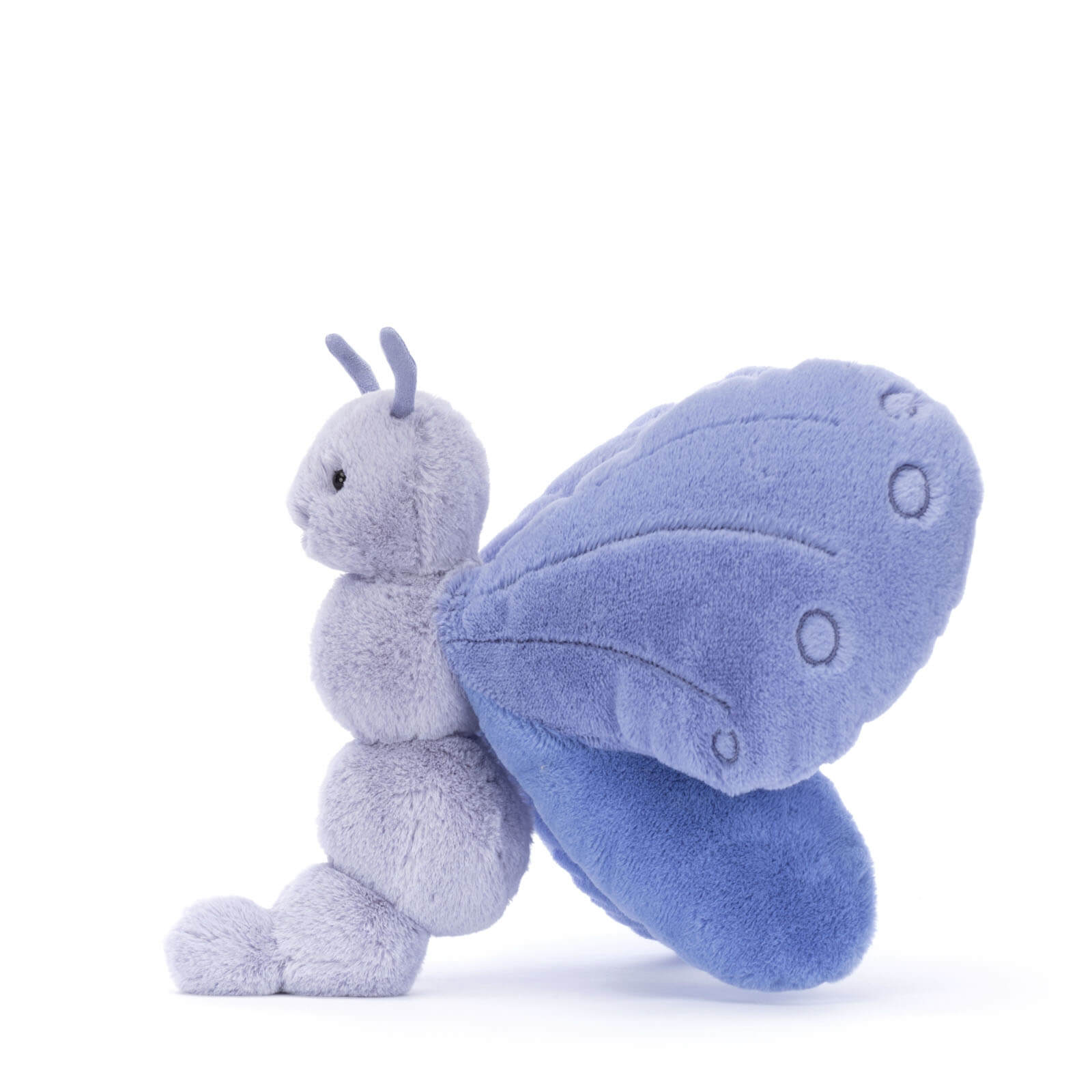 Bluebell Butterfly