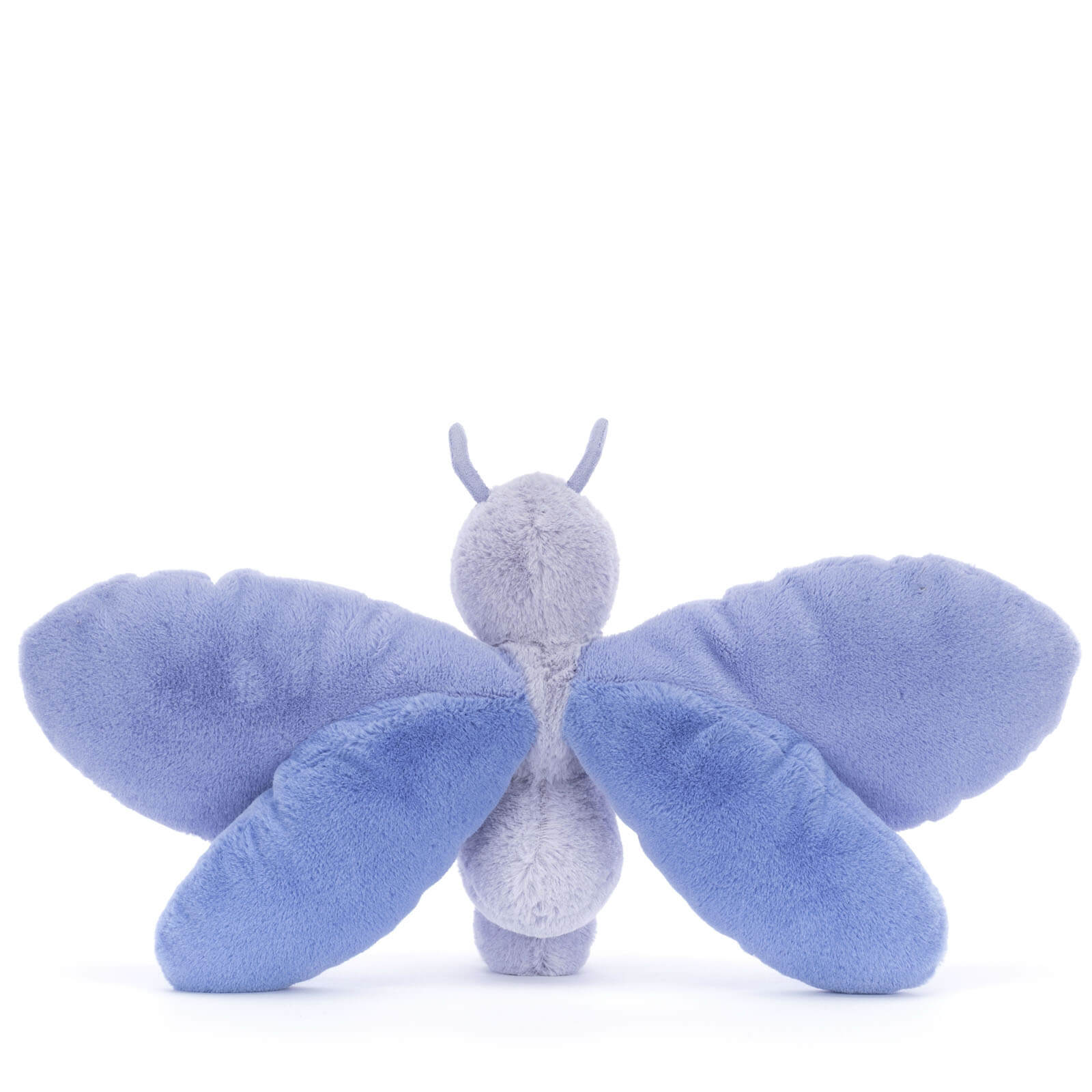 Bluebell Butterfly