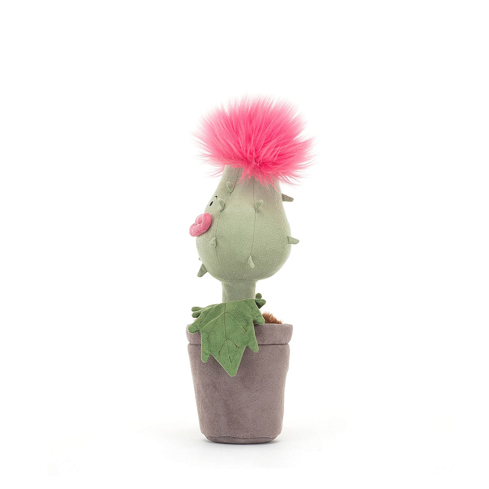 Amuseable Carniflore Priscilla