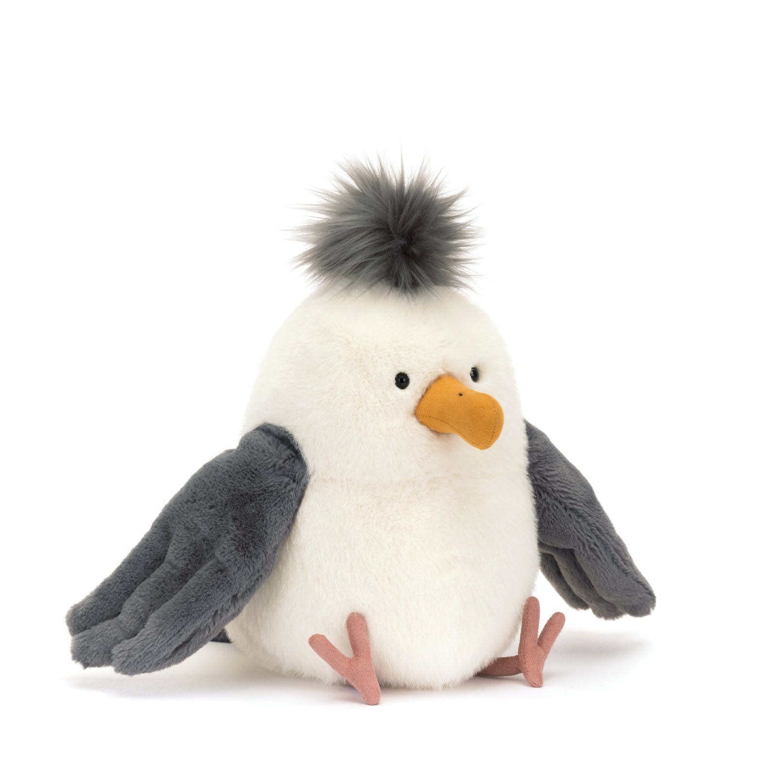 Chip Seagull
