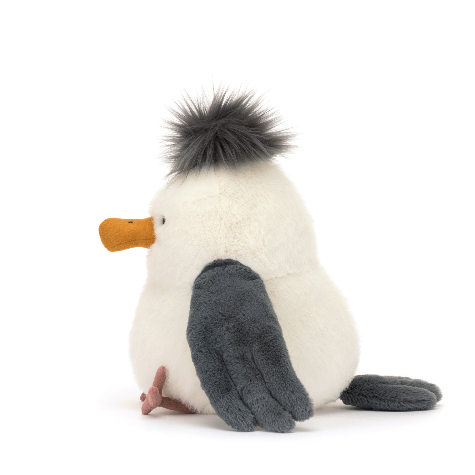 Chip Seagull