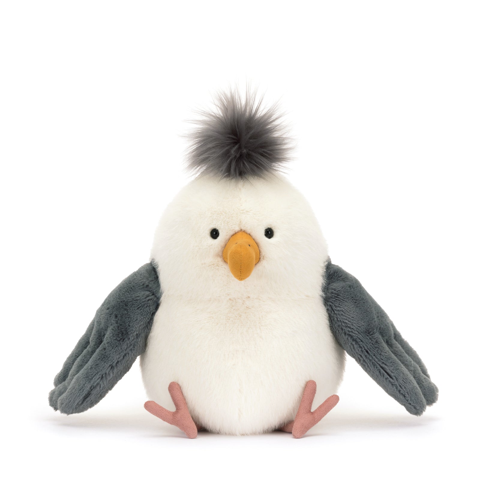 Chip Seagull